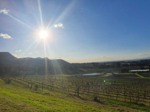 Hunter Valley Wineries